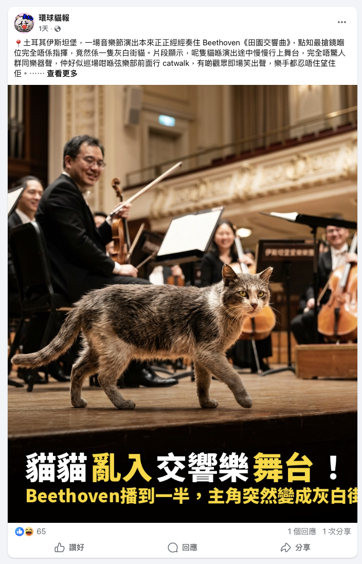 AI-generated cat post — orchestra cat